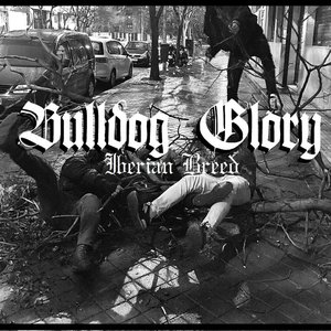 Bulldog Glory 的头像