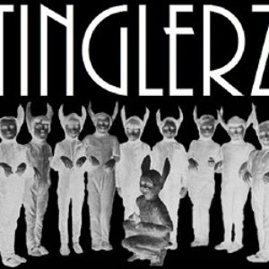 “TINGLERZ”的封面