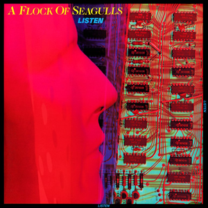 A Flock of Seagulls - The 12