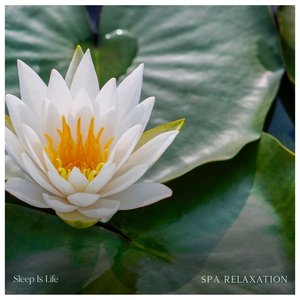 Spa Relaxation