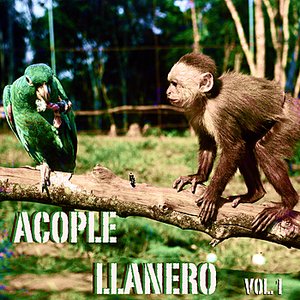 Acople Llanero Vol. 1