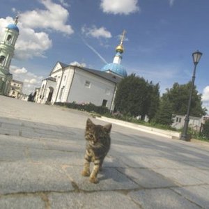 Изображение для 'Братский хор Свято-Введенского монастыря Оптиной Пустыни'