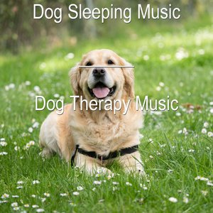 Image for 'Dog Therapy Music'