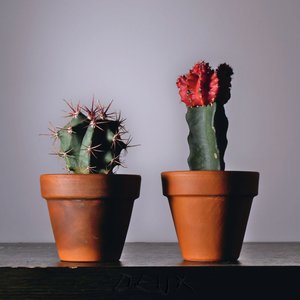 Deux