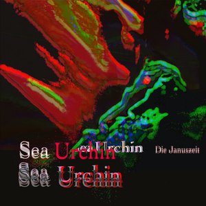 Sea Urchin
