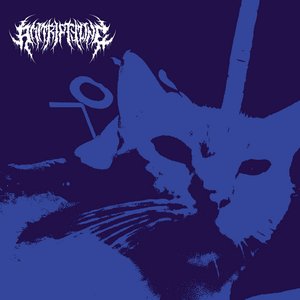Hit Rock Bottom, Then Go Lower - Single