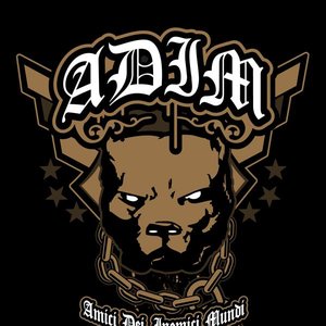 Awatar dla A.D.I.M.