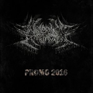 Promo 2016