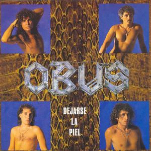 Dejarse la piel cover