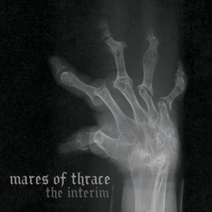 The Interim