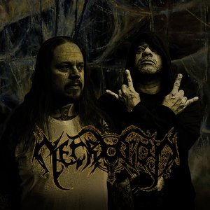 NecroGod 的头像