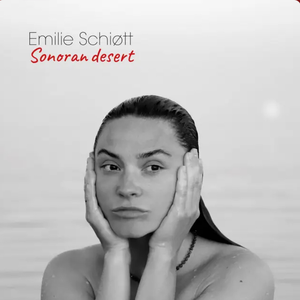 Artwork for Sonoran Desert