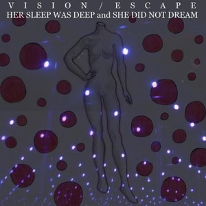 Her Sleep Was Deep and She Did Not Dream