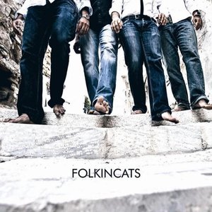 Folkincats 的头像