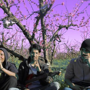 YataY 的头像