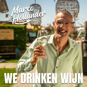 Artwork for WE DRINKEN WIJN