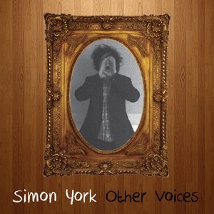 “Other Voices”的封面