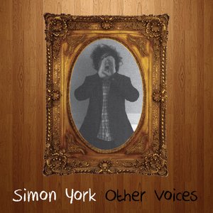 Image pour 'Other Voices'