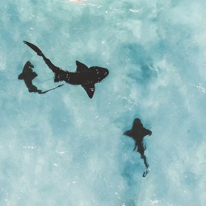 Floating