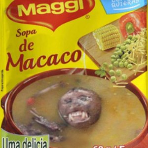 Sopa de Macaco
