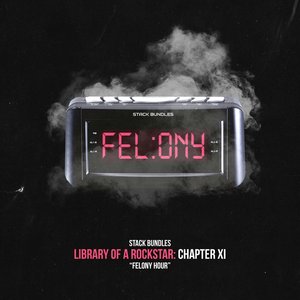 Library of a Rockstar: Chapter 11 - Felony Hour