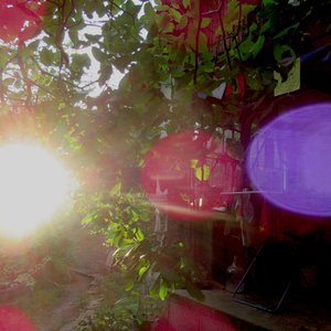 Gardenside Ambient Sessions II
