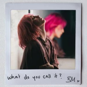 What Do You Call It? - Single