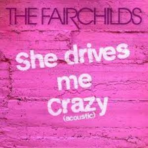 She Drives Me Crazy (Acoustic) - Single