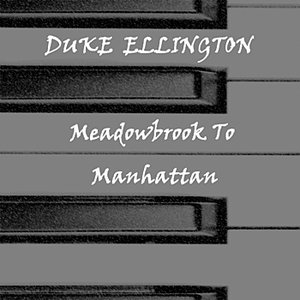 Meadowbrook To Manhattan