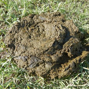 Avatar de Canal Tragicômico