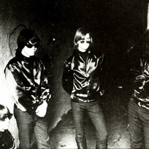 Moss & The Rocks 的头像