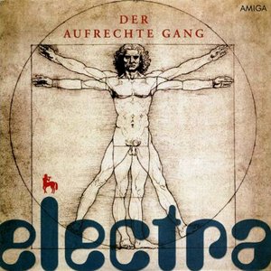 Álbumes - Goldhamster — Electra | Last.fm