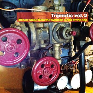 Tripnotic, Vol. 2 (40 New Steps from the Hypnotic World of Trip Hop)