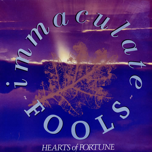 Hearts of Fortune cover