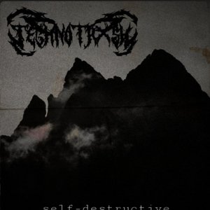 Self Destructive - Single