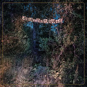 KEXP - The Accidental Falls - Zortam Music