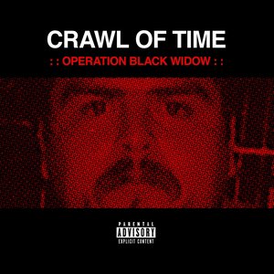 Operation Black Widow