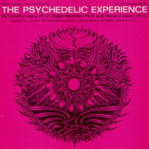 The Psychedelic Experience