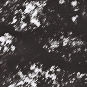 Intuicija 的头像