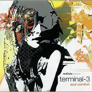 'Terminal-3'の画像