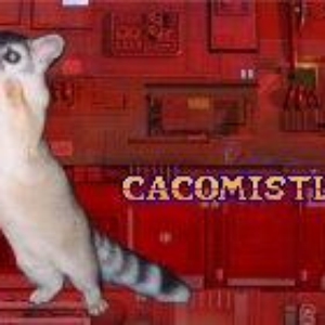 cacomistle photo provided by Last.fm
