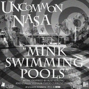 Mink Swimming Pools