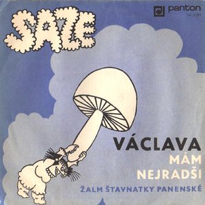 Avatar for Saze