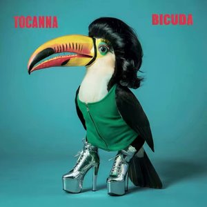 Bicuda