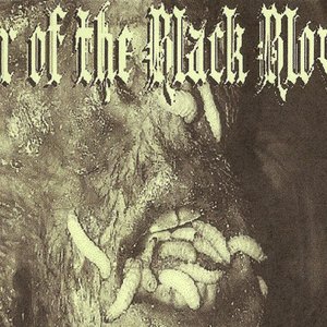 Аватар для Lair Of The Black Blowfly