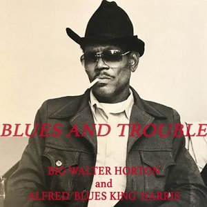 Blues and Trouble - Big Walter Horton & Alfred 'Blues King' Harris