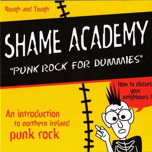 Punk Rock for Dummies
