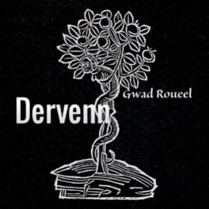 Dervenn 的头像