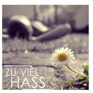 Zu viel Hass - Single