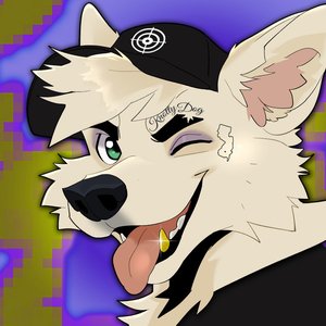 coyote2 的头像
